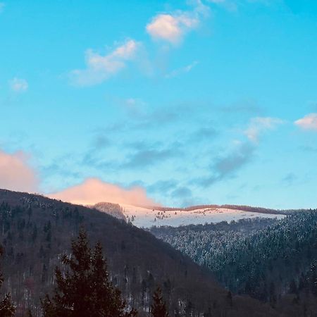 The Nest Apartamento Sinaia Exterior foto