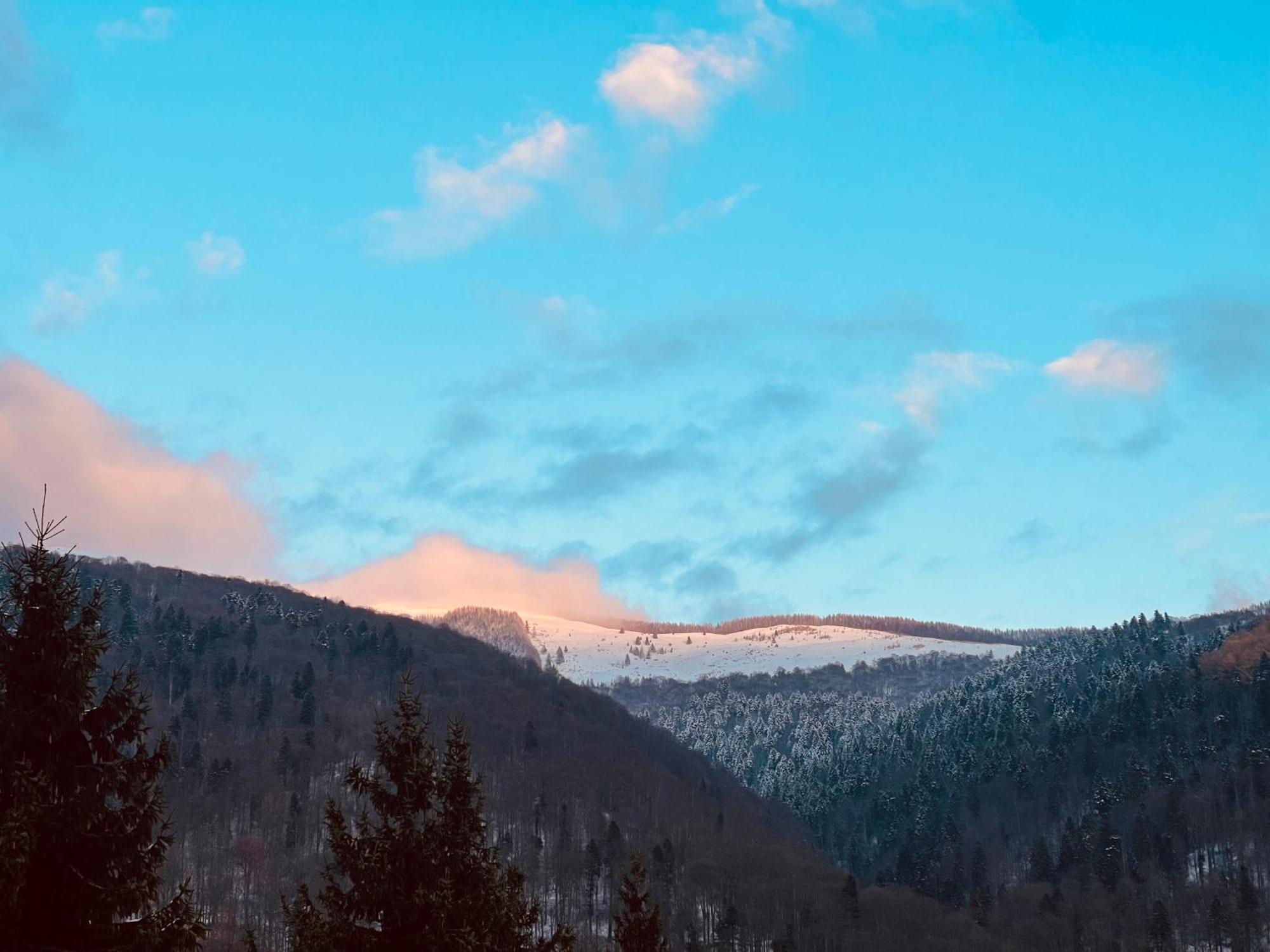 The Nest Apartamento Sinaia Exterior foto